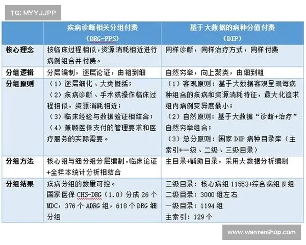 网球比赛现场秩序管理的重要性与实施策略分析 网球比赛现场秩序管理的重要性与实施策略分析